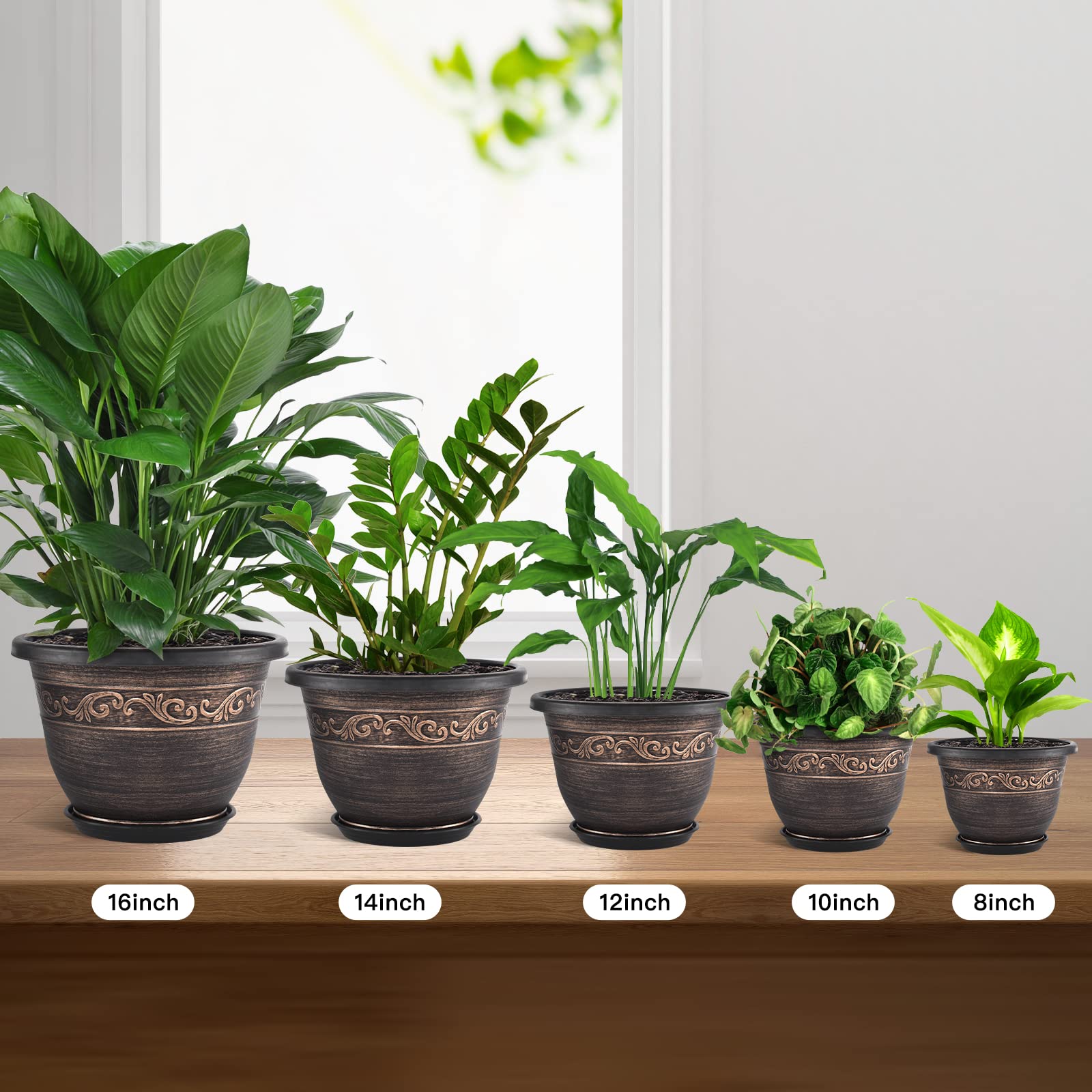 Pottiffe three-pack styled on patio showing coordinated display benefit