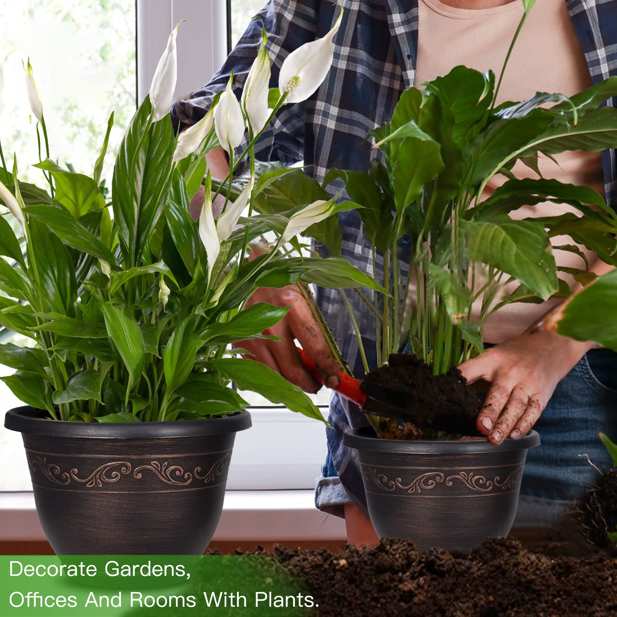 Pottiffe in-use on a living room shelf with plant benefit: elevates indoor decor easily