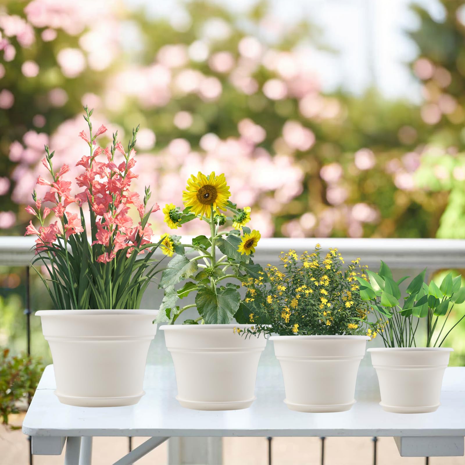 Pottiffe placed on indoor shelf with plant showing stylish decor and space-saving benefit