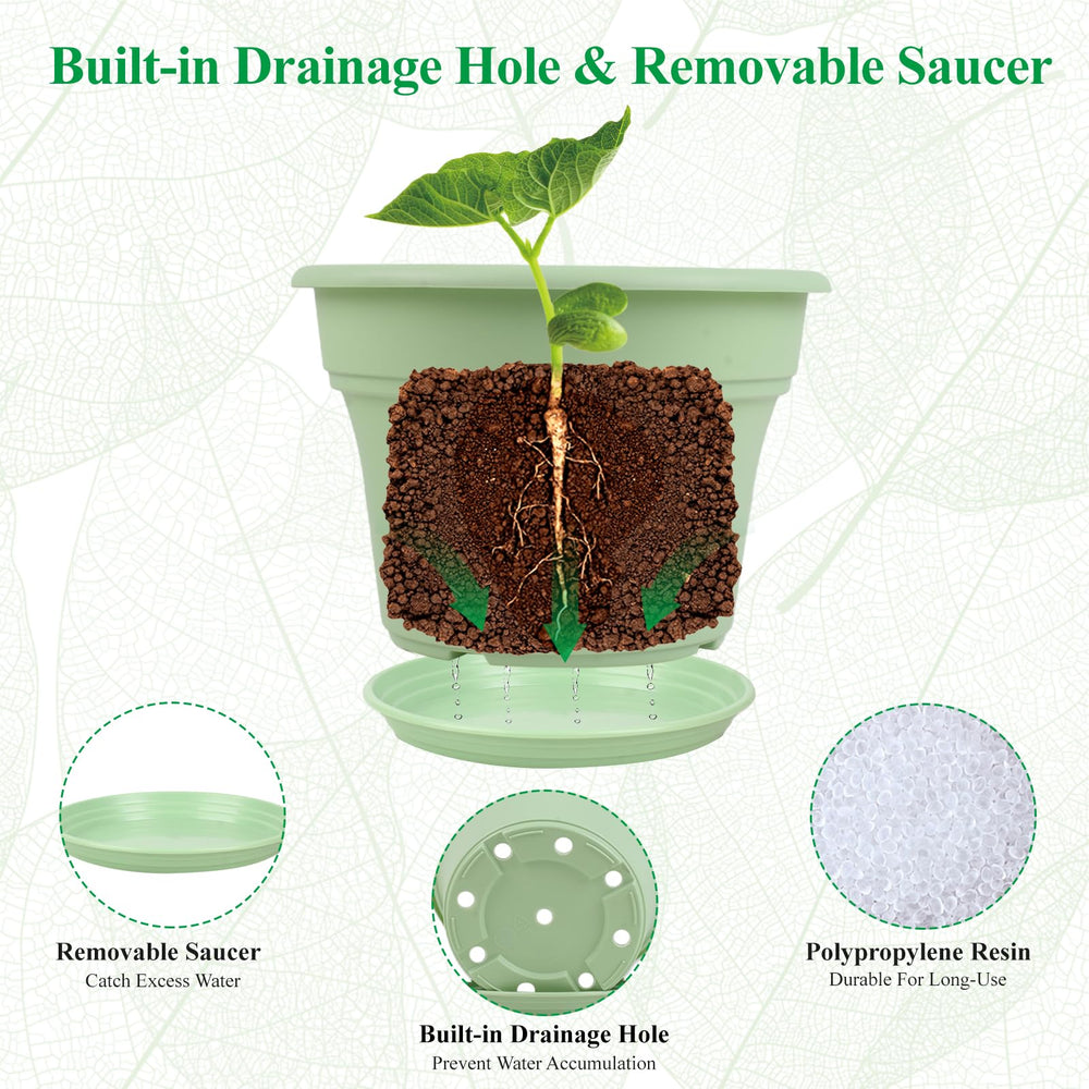 Pottiffe pot with plant staged indoors enhancing room décor and plant display