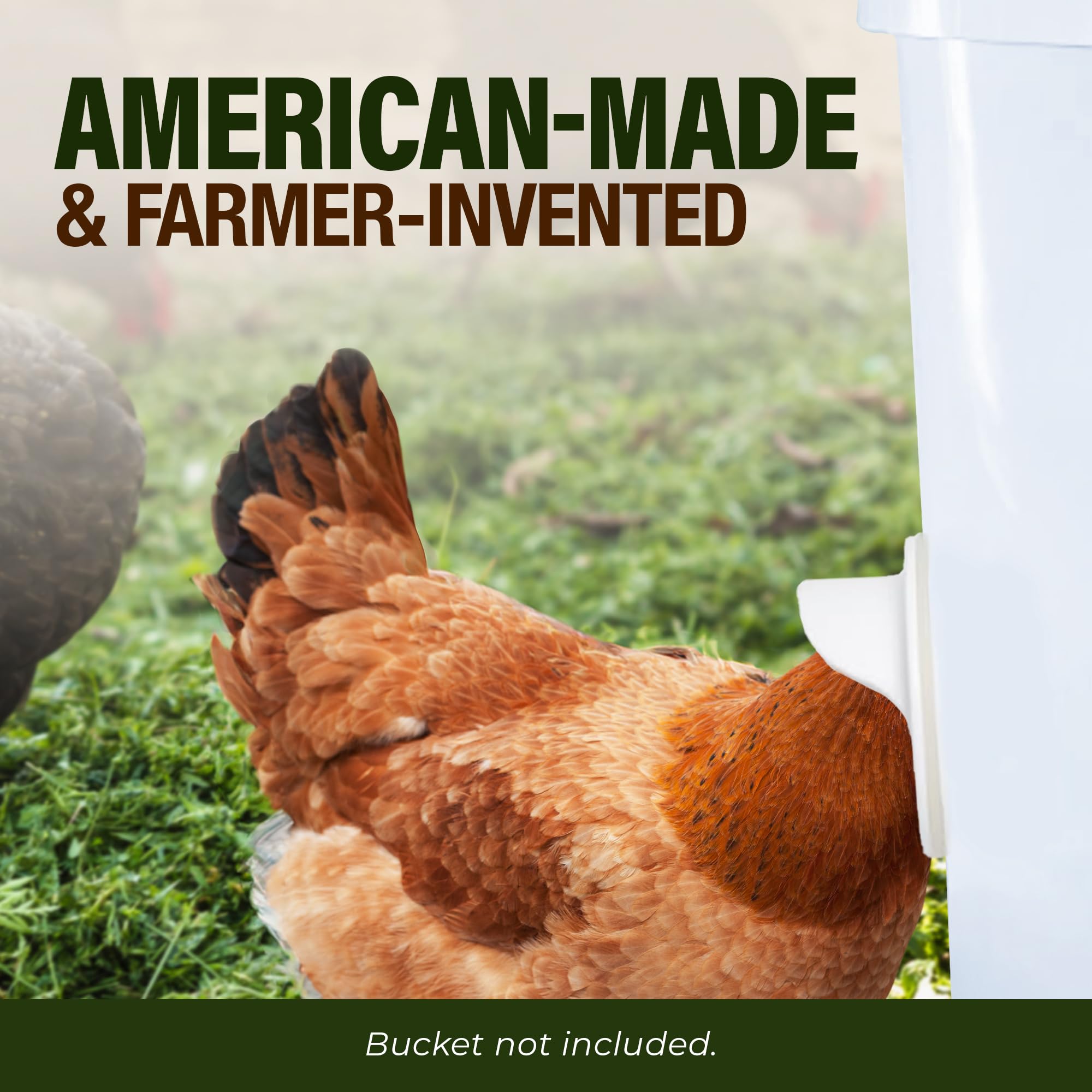 Poultry Pro lifestyle backyard coop setup for tidy, low-maintenance feeding