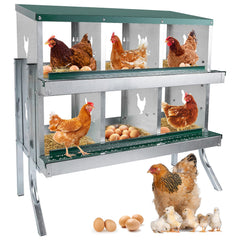 POWLAB front view of six-compartment nesting box showing organized egg spaces and durability