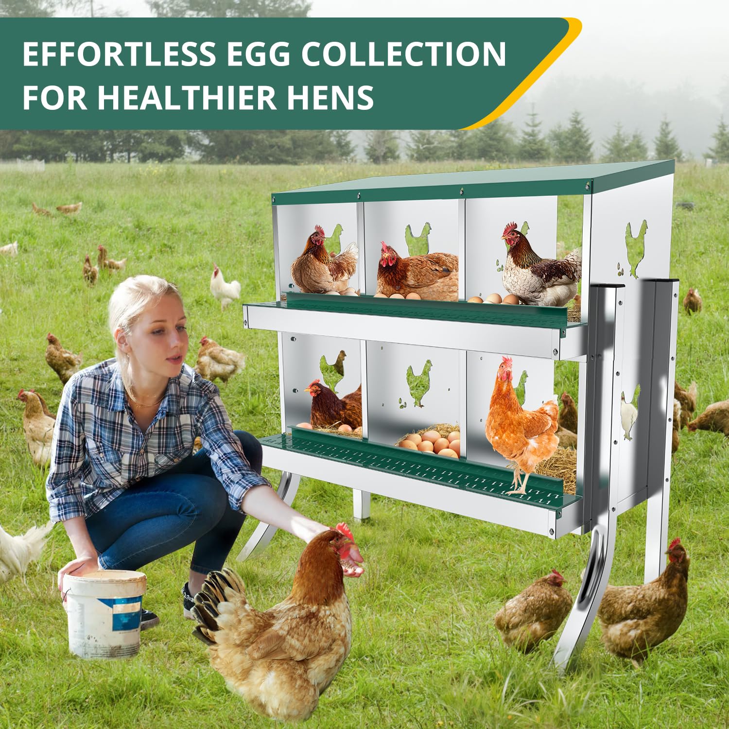 POWLAB nesting box in backyard coop lifestyle scene illustrating improved egg collection routine