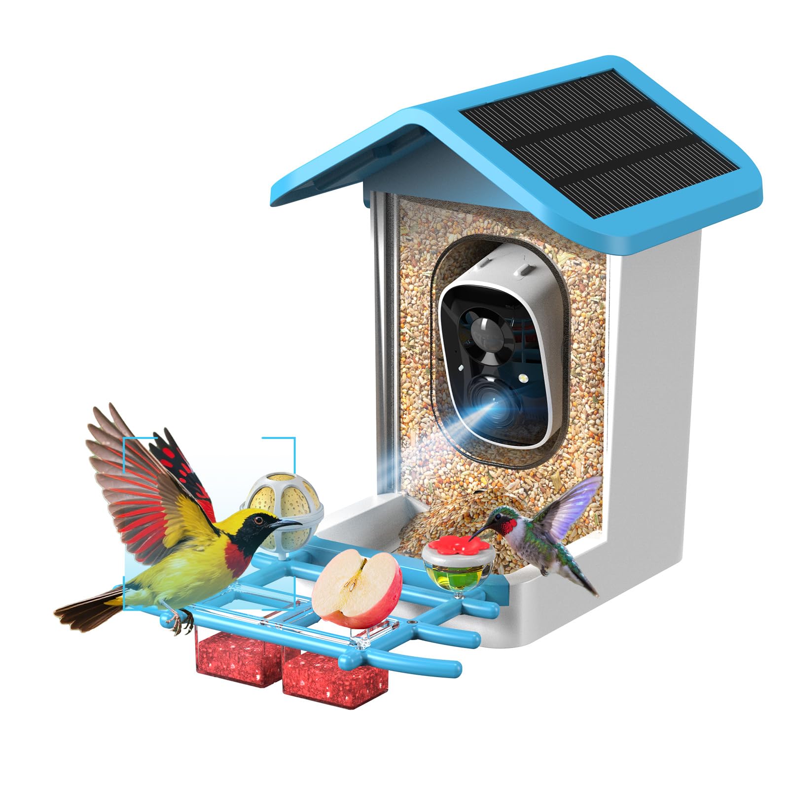 PowRejuv front view showing feeder and camera for clear backyard observation