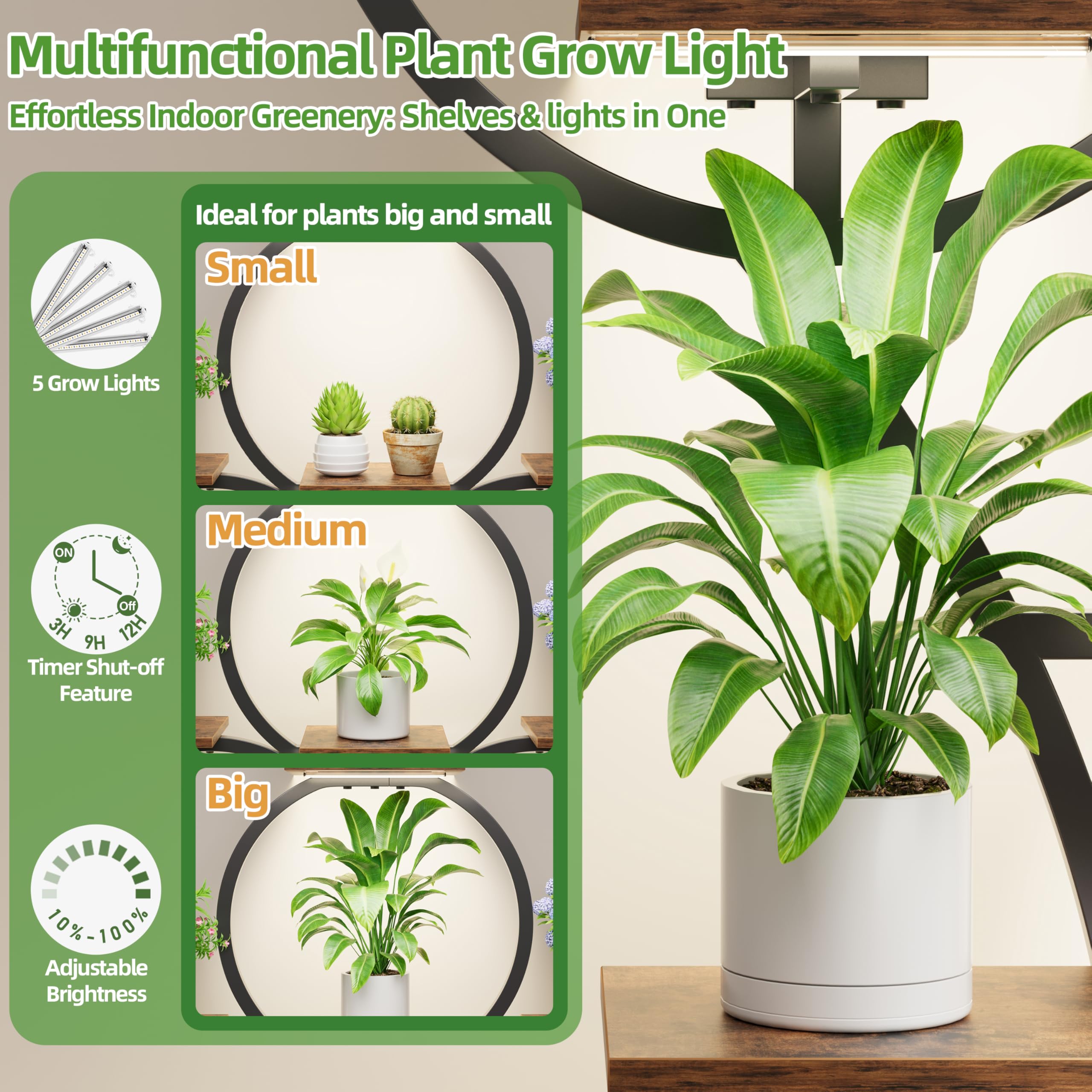 POZILAN in-use living room scene showcasing décor and plants enhancing space benefit