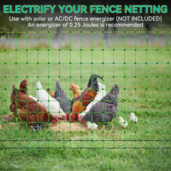 PPOLB net installed around chicken run protecting poultry from predators