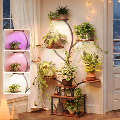 PRAISUN front view of assembled plant stand showing vertical display and space saving benefit