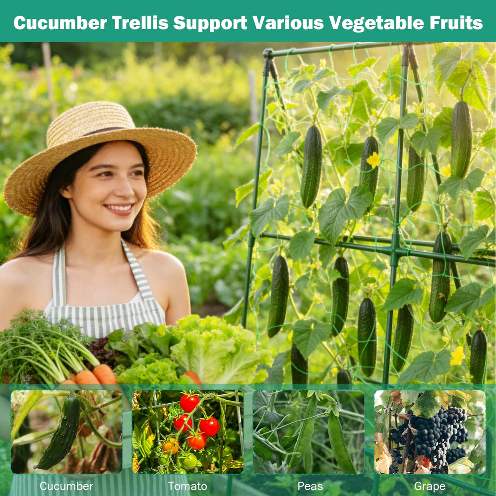 Prashent assembled trellis in raised bed showing lifted fruit and cleaner soil