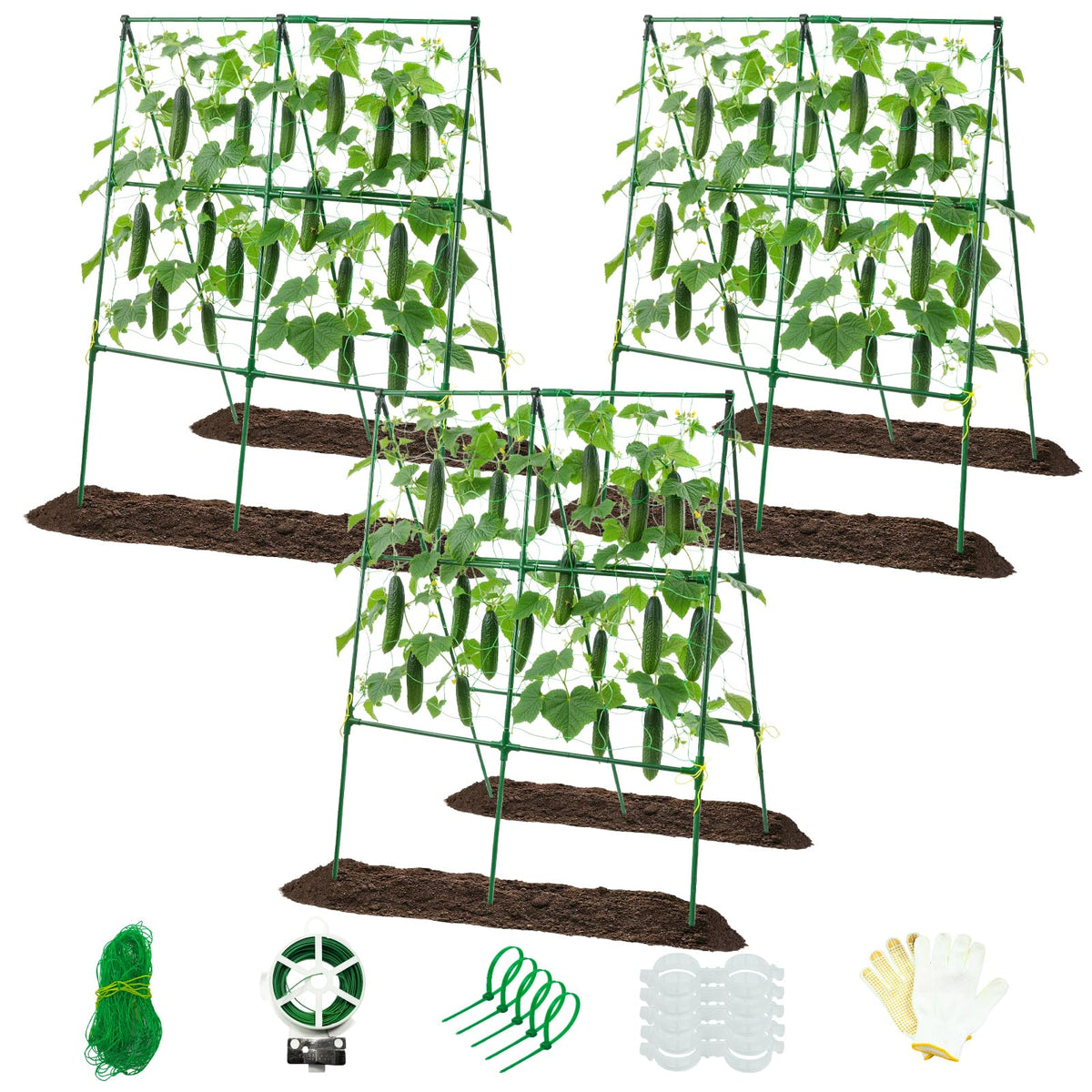 Prashent front view A-frame trellis showing sturdy support and organized vines