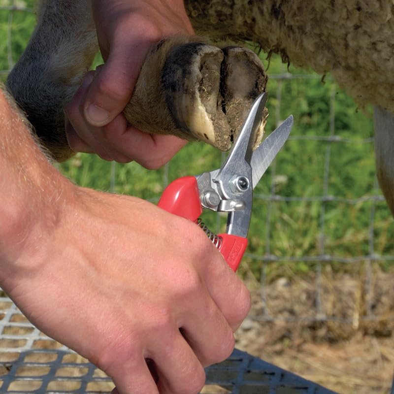 Premier 1 Supplies ARS 140DXR trimming a hoof demonstrating controlled smooth cuts benefit
