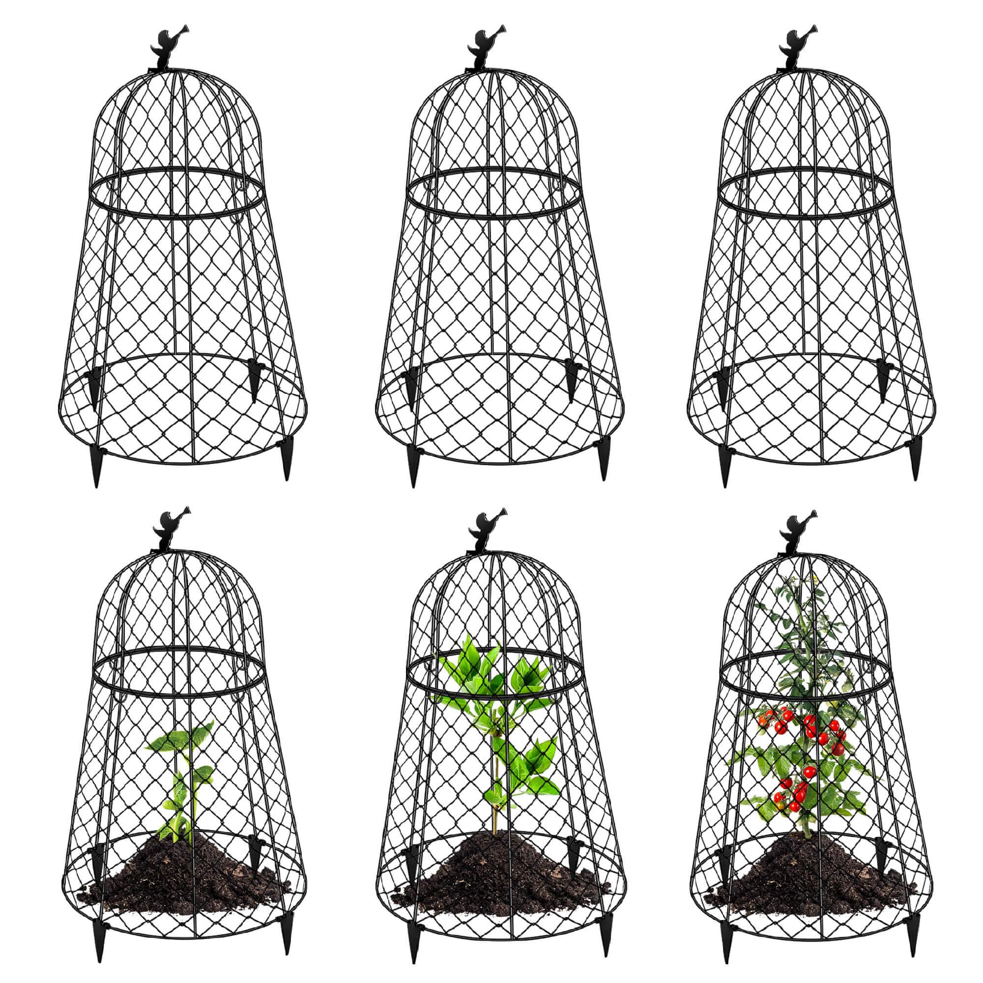 PREMILITY front view of assembled cloche protecting a plant, durable protection