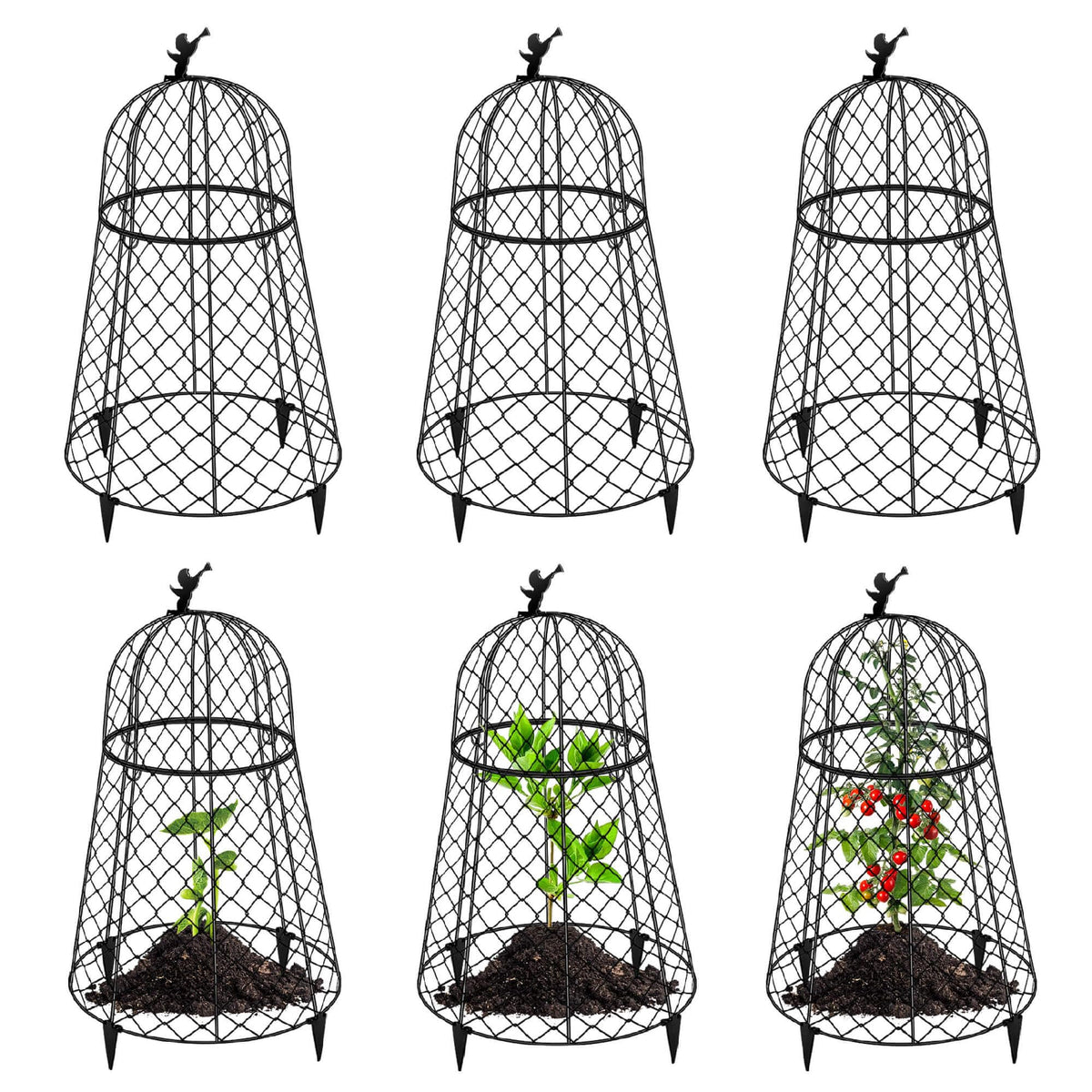 PREMILITY front view of assembled cloche protecting a plant, durable protection