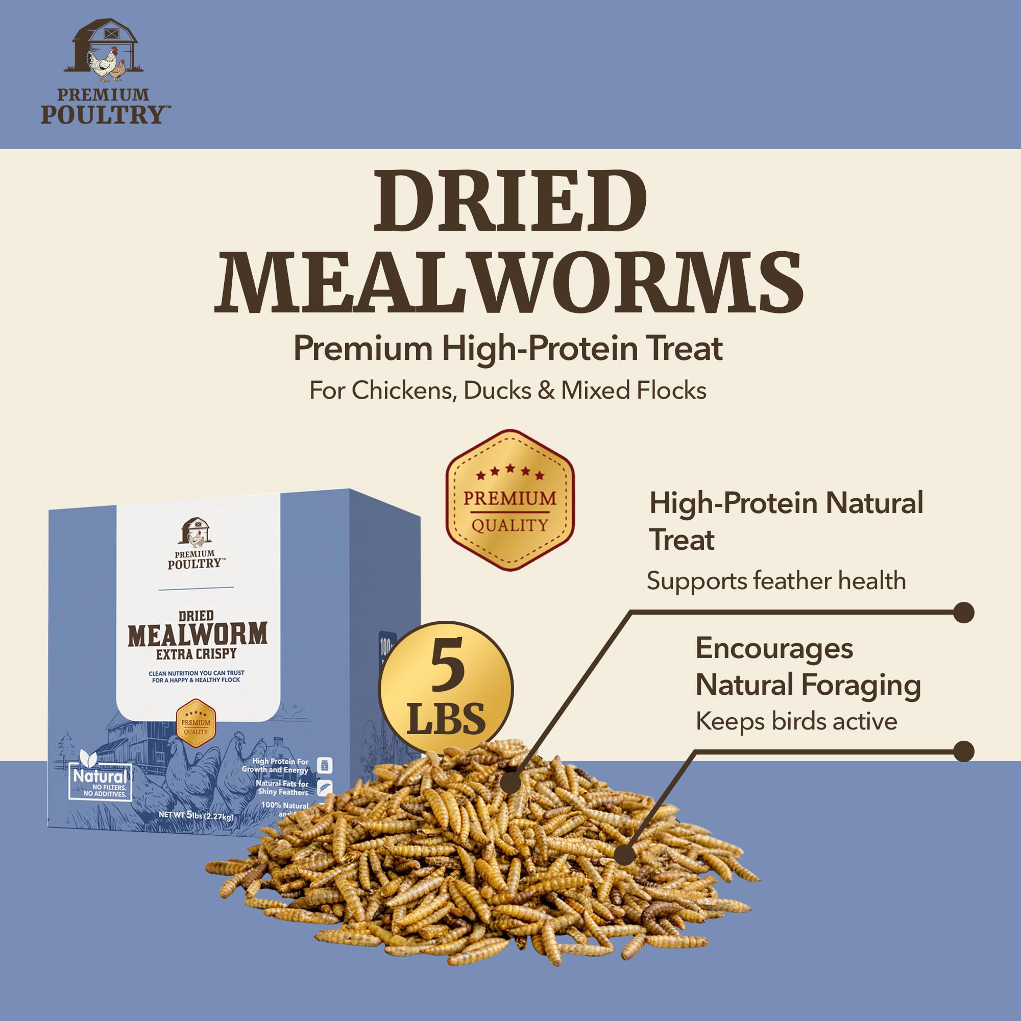 Premium Poultry bowl of mealworms being offered to chickens to encourage feeding