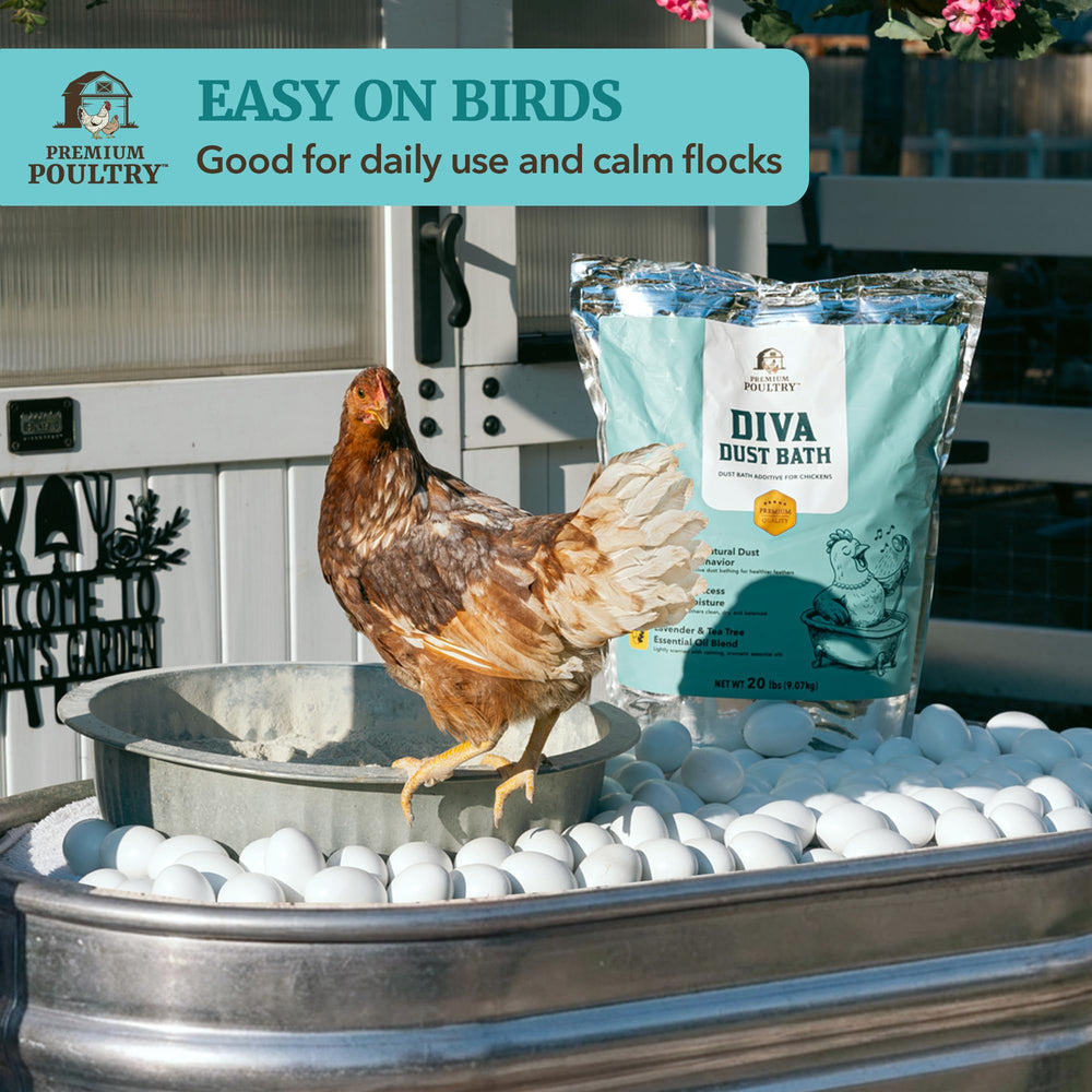 Premium Poultry close-up texture of blend highlighting absorbent minerals benefit