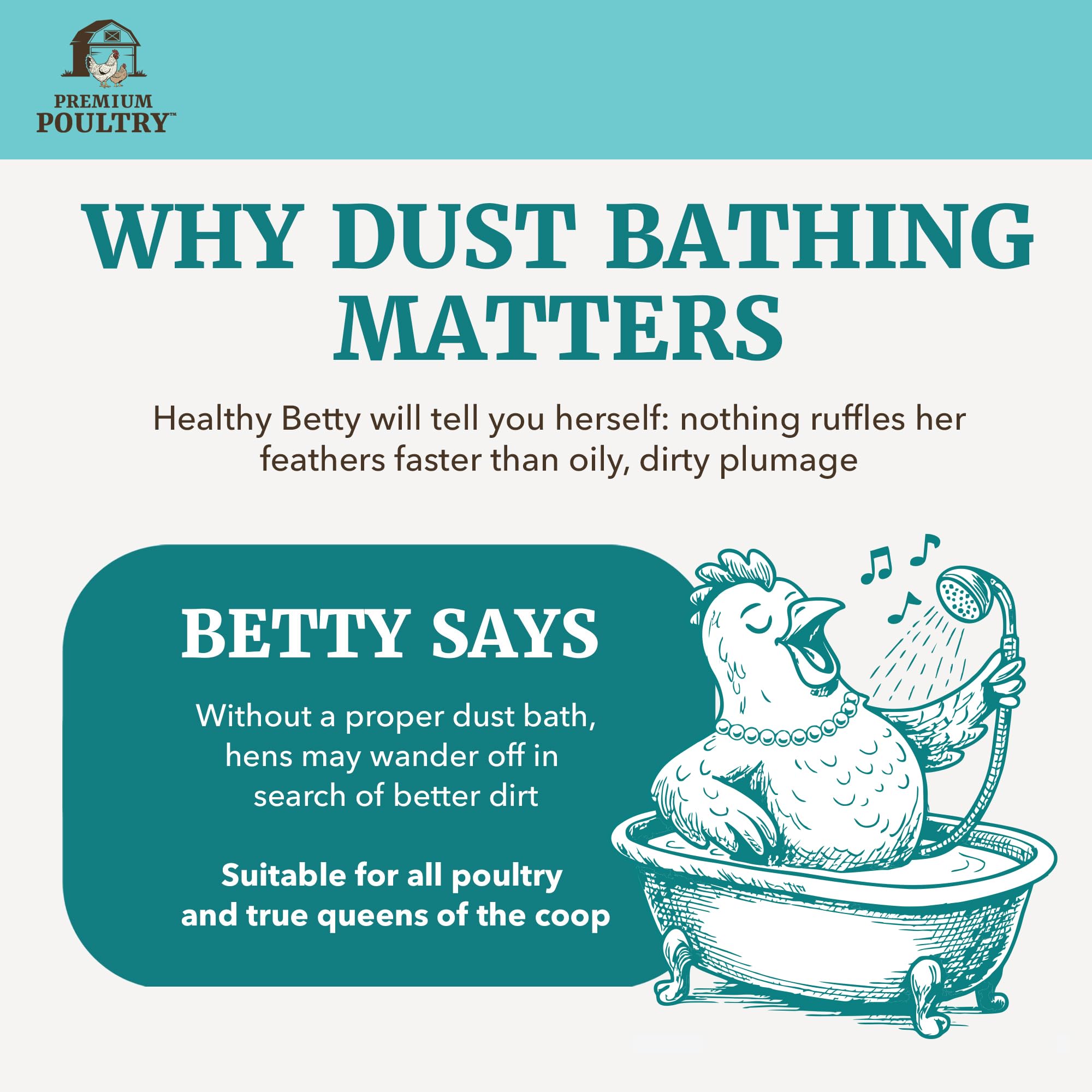 Premium Poultry dry dust bath setup in coop promoting fresher environment benefit