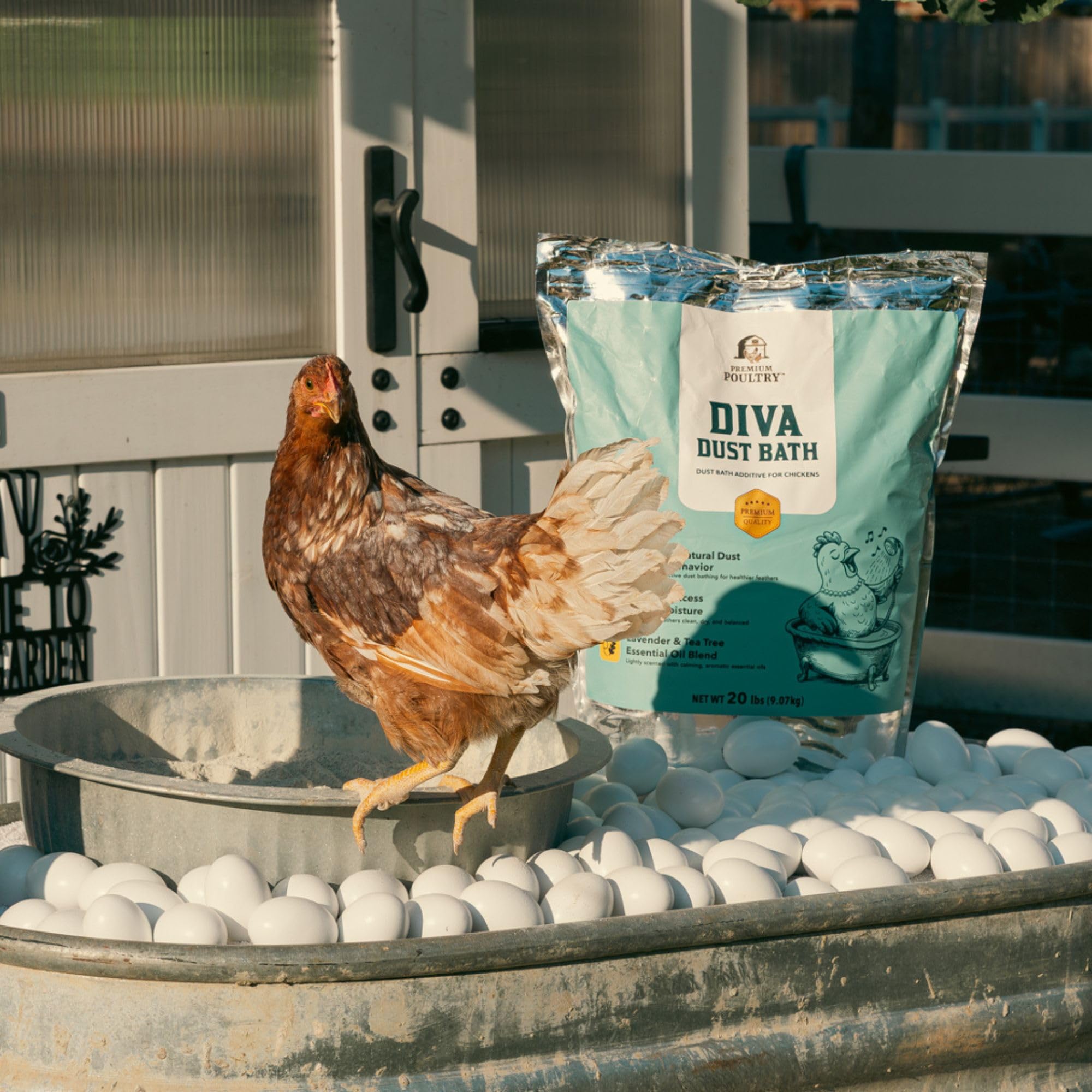 Premium Poultry outdoor coop lifestyle image showing happier hens benefit