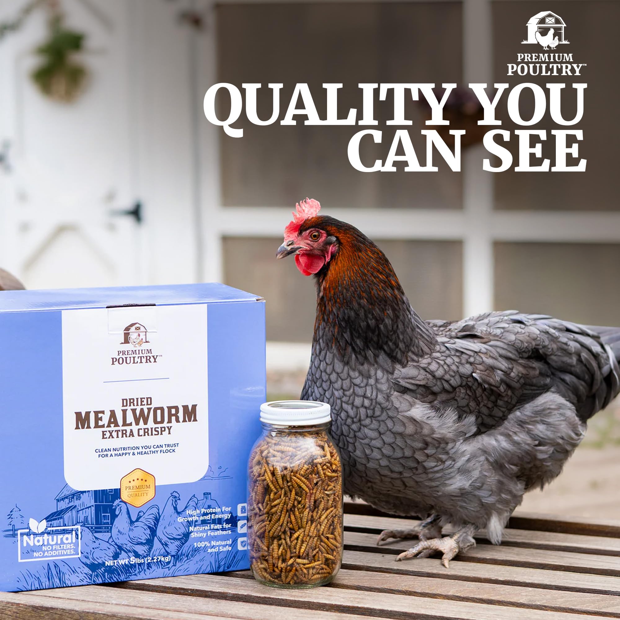 Premium Poultry close-up of dried mealworm texture showing high-protein, no-additives quality