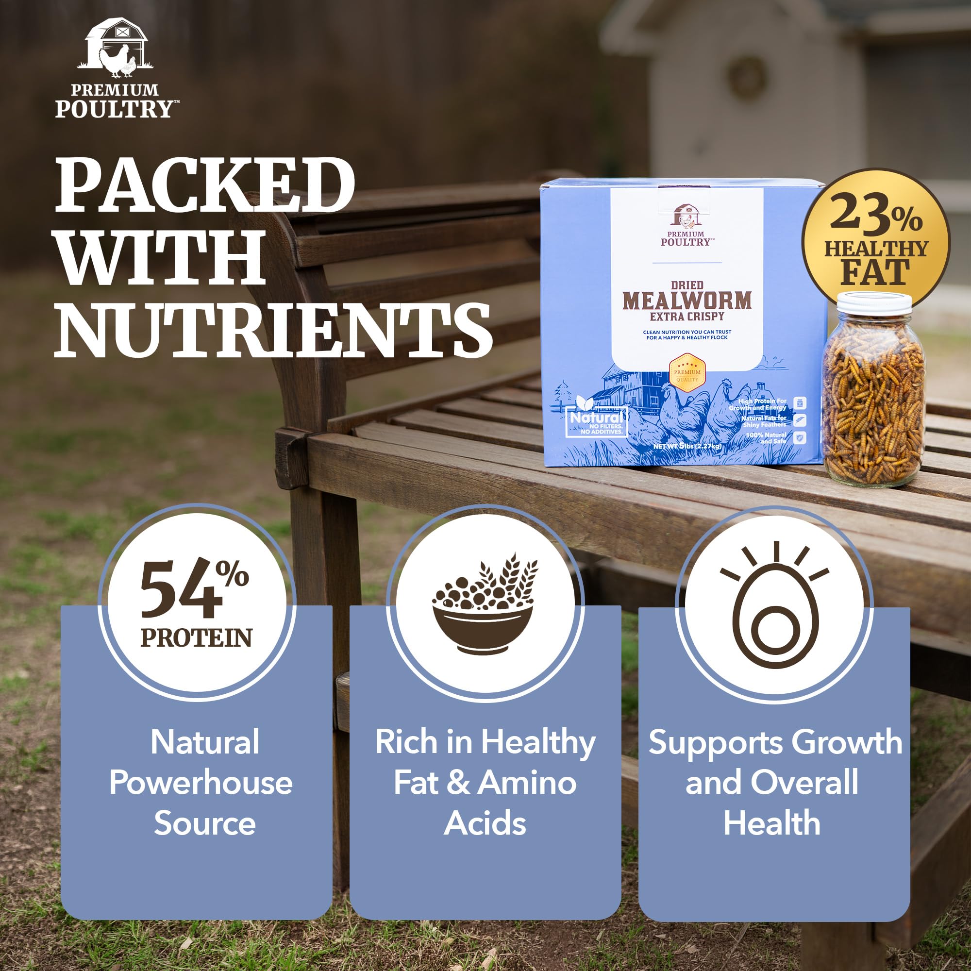 Premium Poultry mealworms scattered in coop promoting natural foraging and active hens