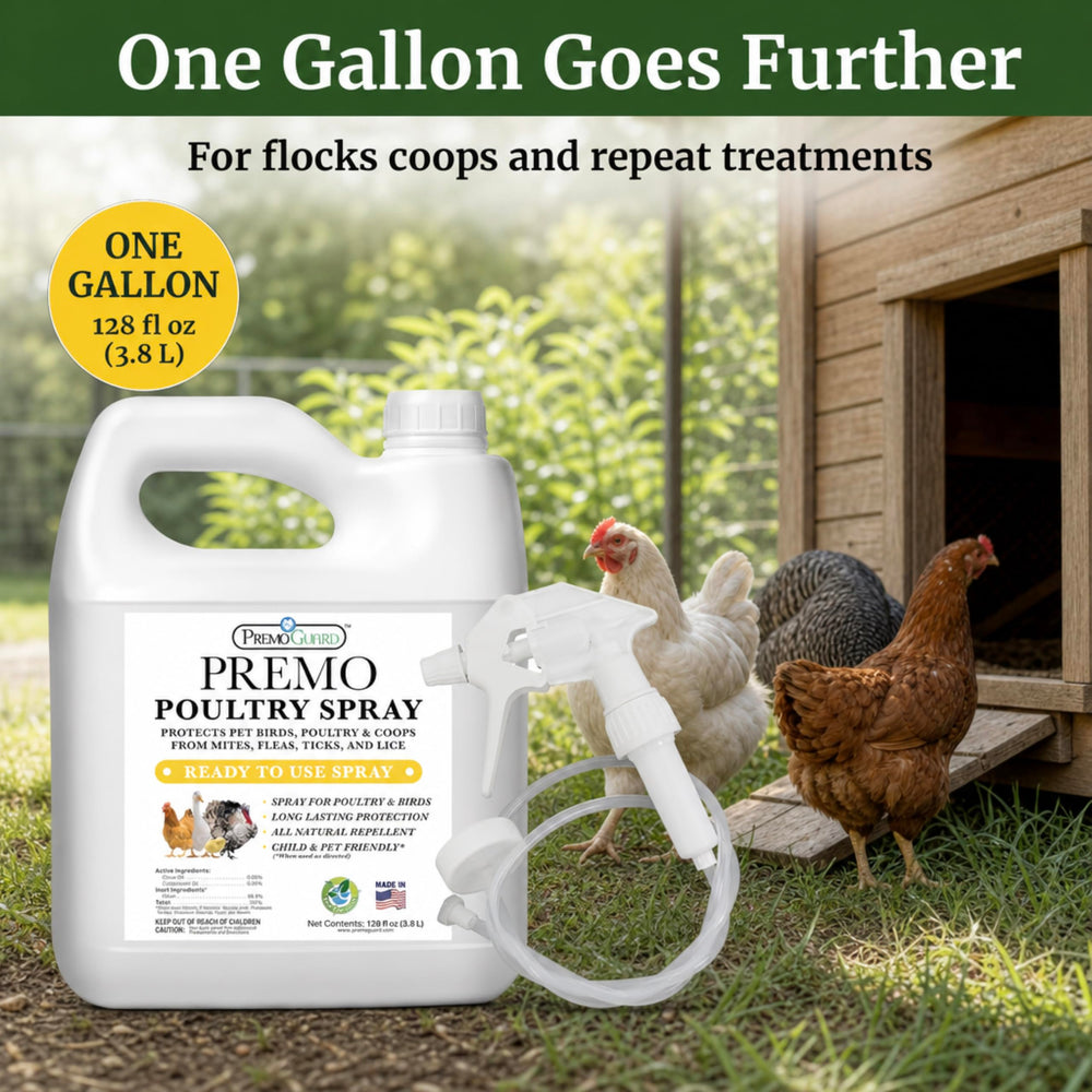 Feather close-up with Premo Guard protecting skin and plumage naturally