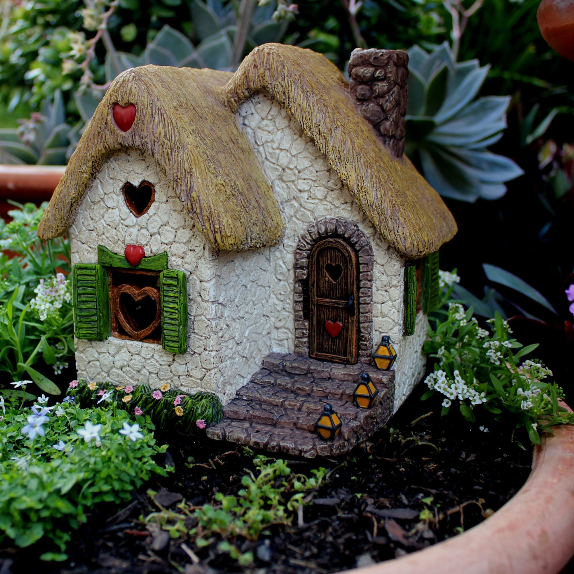 PRETMANNS fairy house beside succulent for size and scale reference