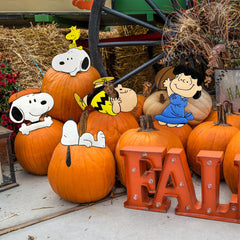PRODUCTWORKS press-ins in a porch pumpkin display add instant festive curb appeal