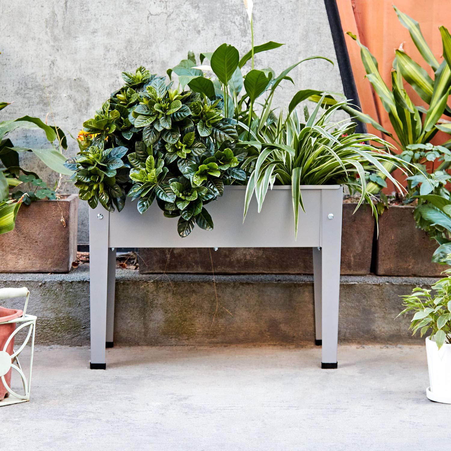 ProGard planted on balcony demonstrating space-saving urban gardening
