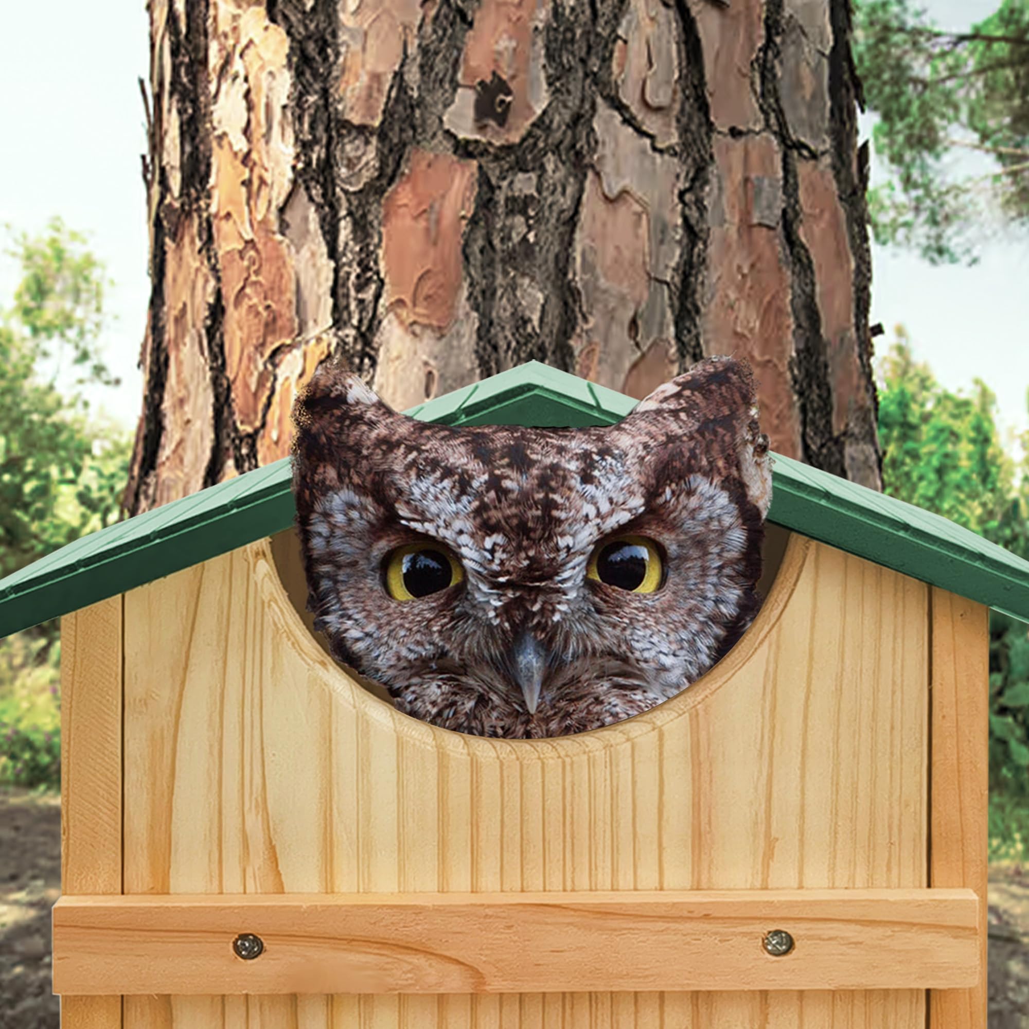 PROLEE owl house assembly kit with screws and wood shavings for simple installation