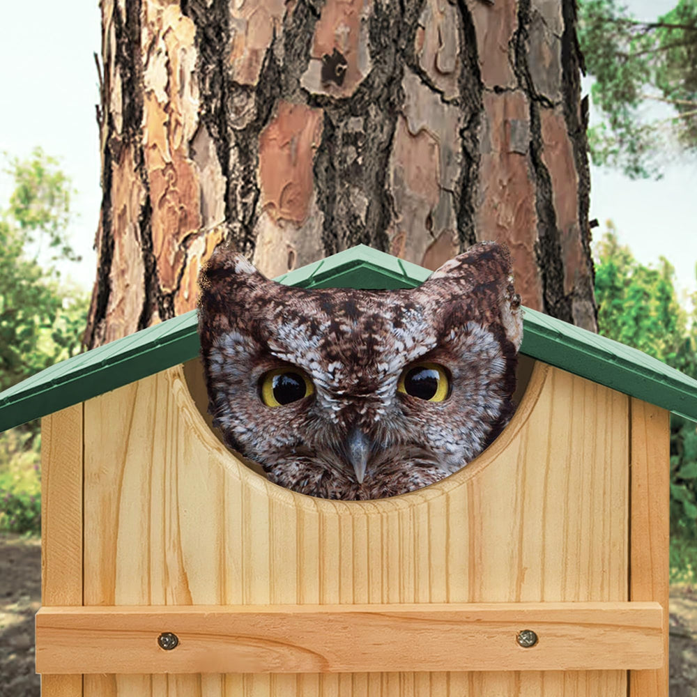 PROLEE owl house assembly kit with screws and wood shavings for simple installation