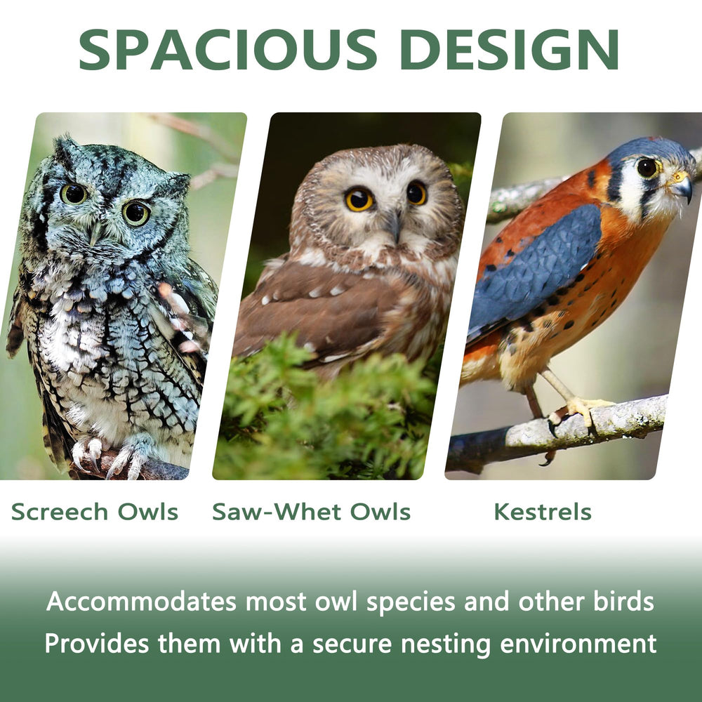 PROLEE owl house mounted in garden demonstrating placement and natural habitat benefit