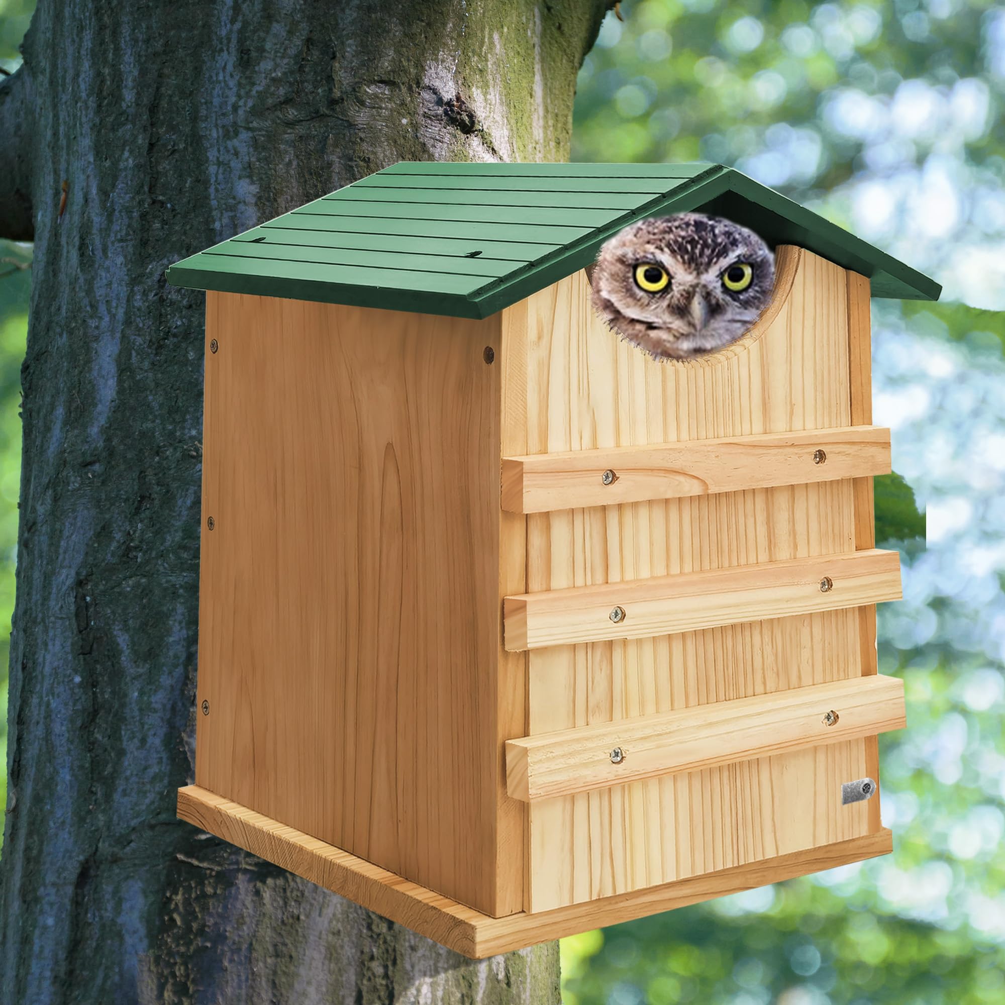 PROLEE owl house roof detail highlighting sloped cedar roof that sheds rain effectively