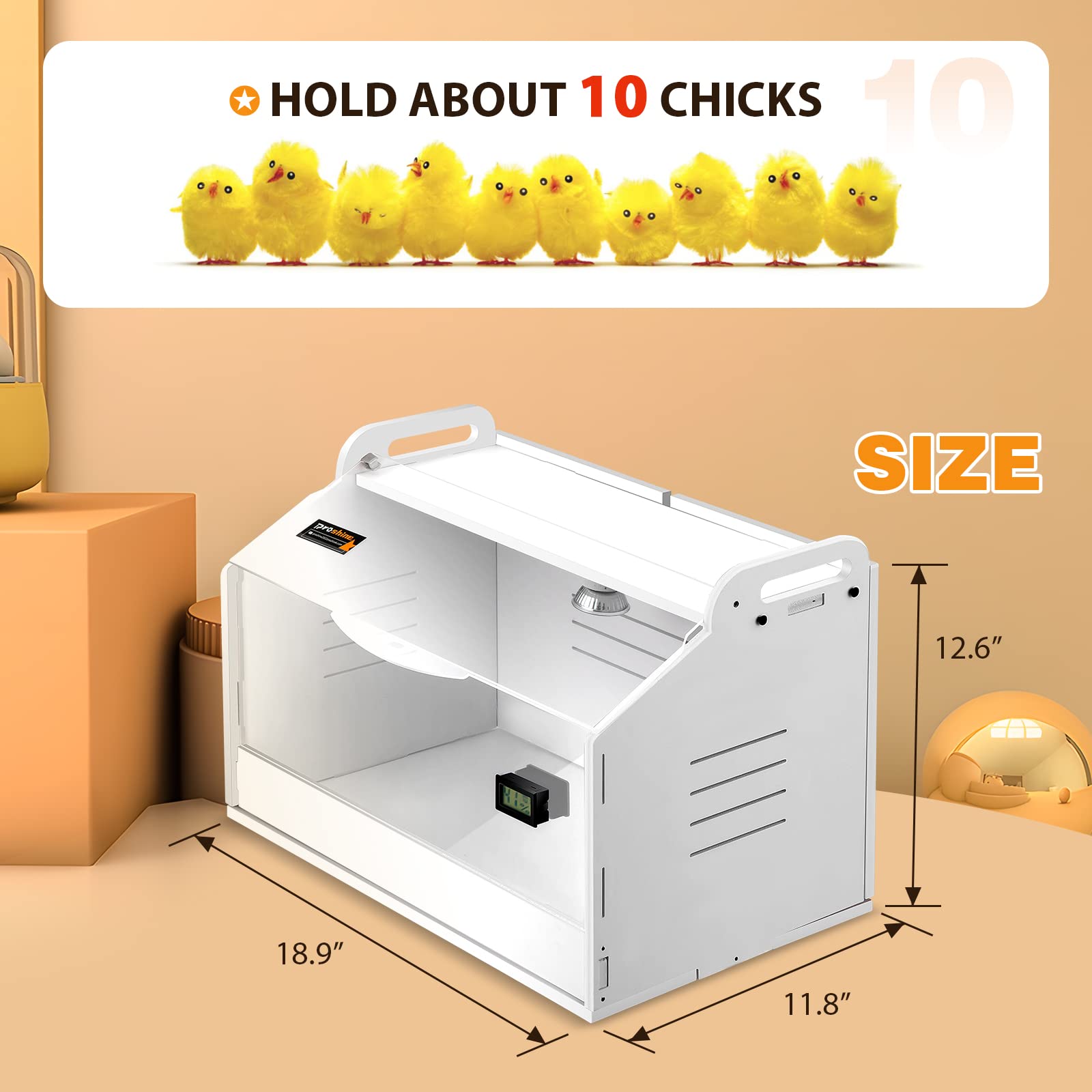 Proshine 50W heating lamp close-up providing steady warmth for chicks