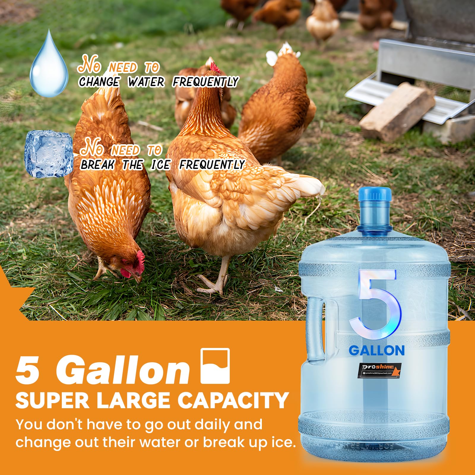 Proshine waterer in coop with chickens drinking, simplifies winter care