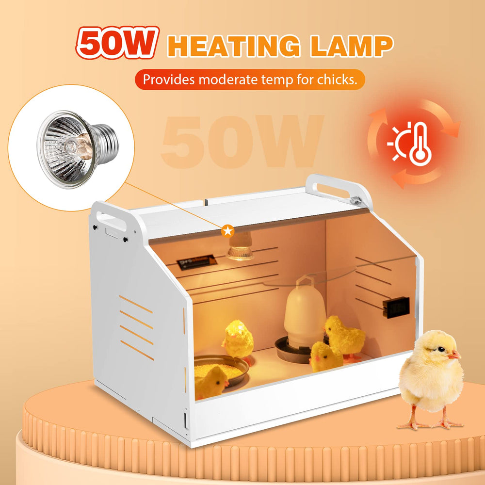 Proshine interior with chicks demonstrating safe monitored brooding