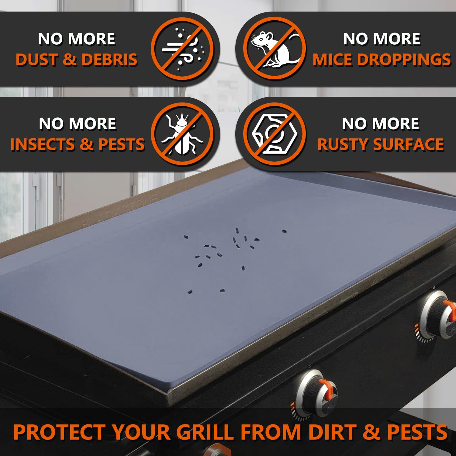 Protebox raised edge detail keeping moisture and debris off griddle surface