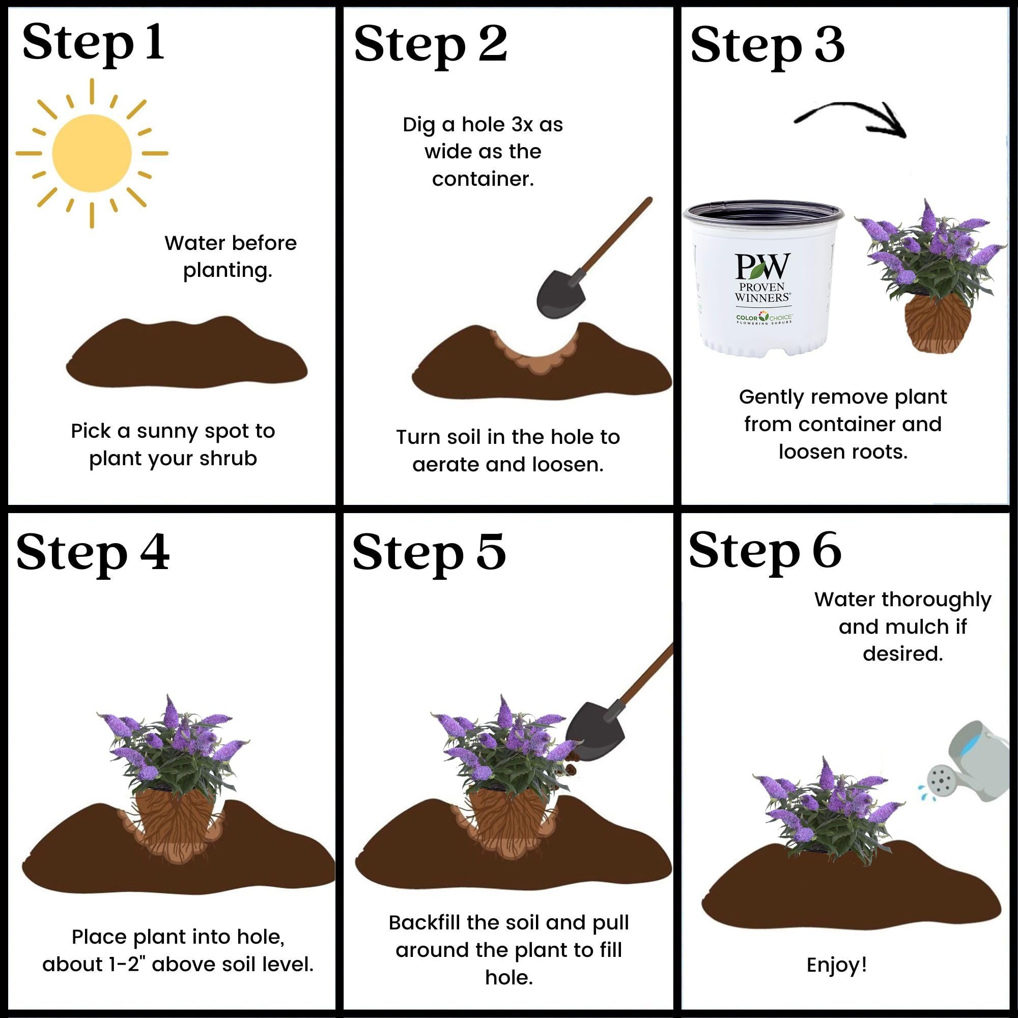 Proven Winner plant label and pot showing cultivar name and care information
