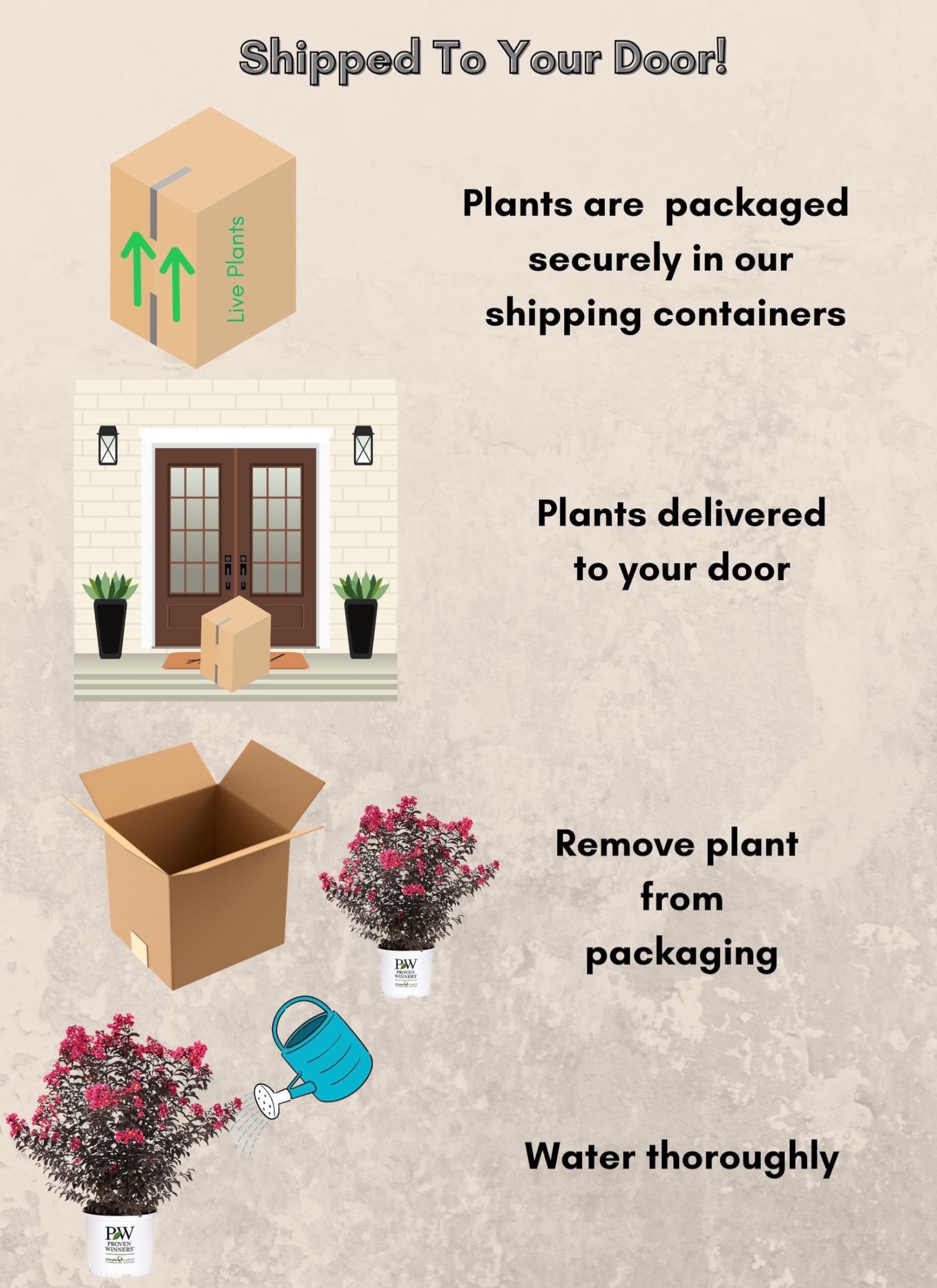 Proven Winners Center Stage Pink pot size comparison illustrating scale and planting readiness