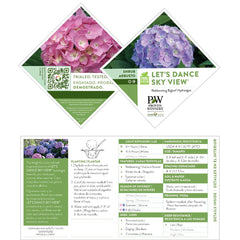 Proven Winners detailed leaf texture and healthy foliage, demonstrates disease-free look