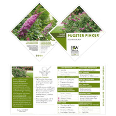 Proven Winners Pugster Pinker stem and foliage detail demonstrating sturdy stems and leaf texture