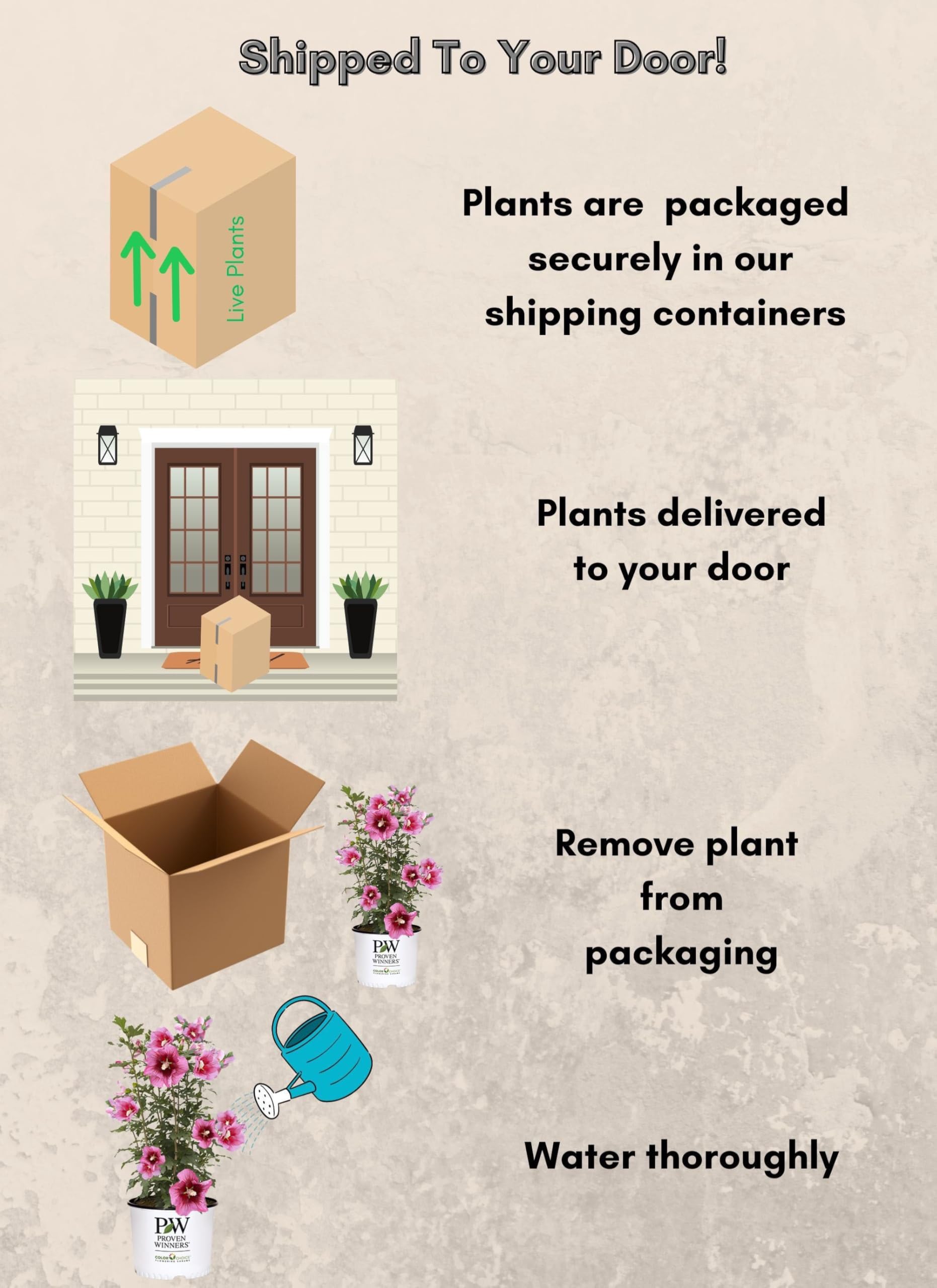 Proven Winners Red Pillar planted in a large container demonstrating patio or balcony use