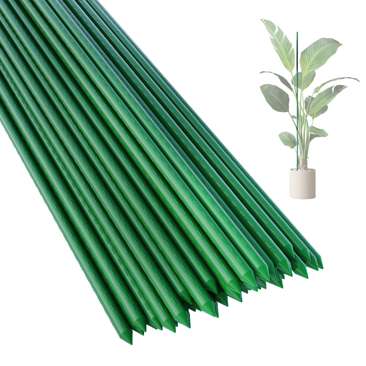 PROWORX front packaging showing 50 steel garden stakes and pack benefit