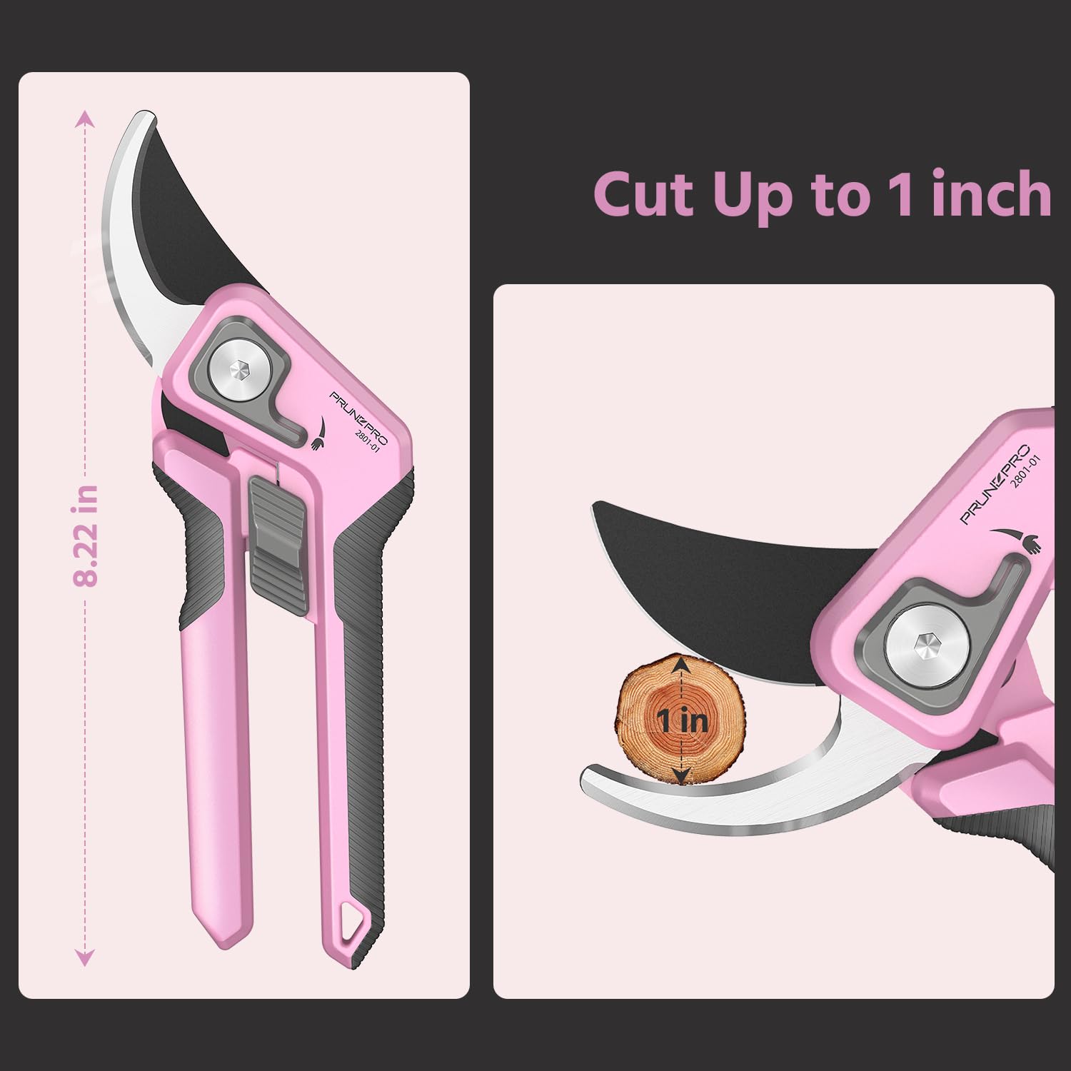 PrunePro next to a ruler showing 8.2-inch scale for accurate size and portability comparison