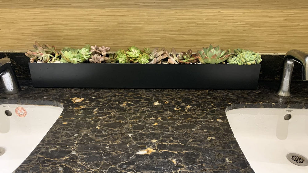 PSOIRGCNH planter as dining table centerpiece with succulents adding contemporary decor