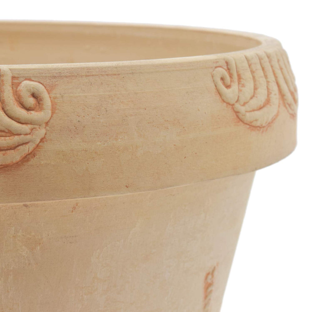 PSW Pot Collection dragonfly planter staged with houseplant in sunroom offering effortless indoor style