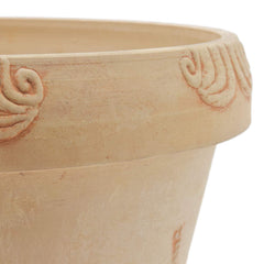 PSW Pot Collection dragonfly planter staged with houseplant in sunroom offering effortless indoor style