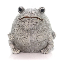 Pudgy Pals frog front view showing charming face and size, great for eye-catching garden accents
