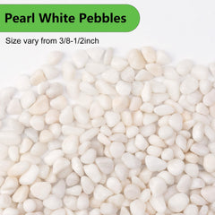 Pulovin pebble close-up texture highlighting smooth polished surface and visual shine