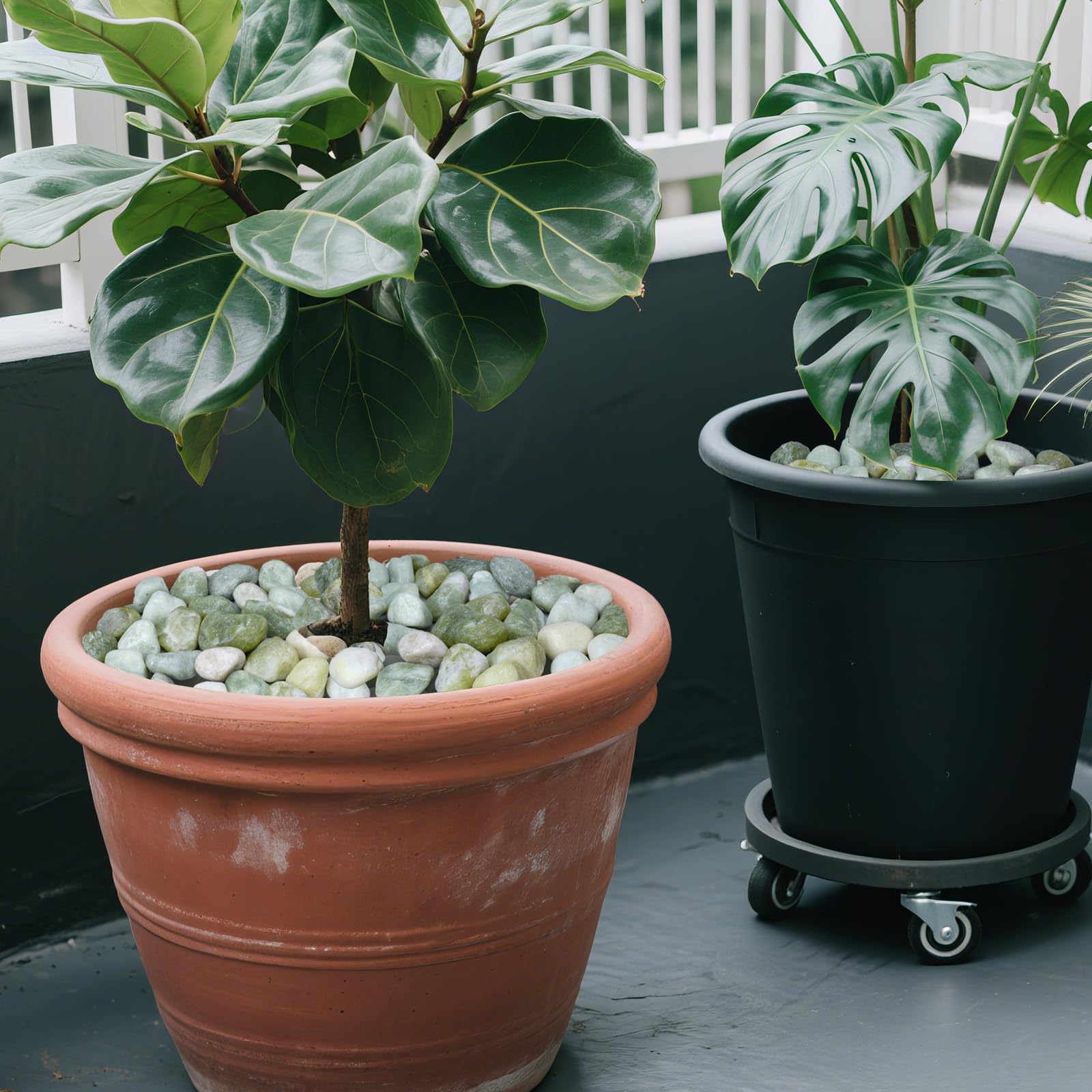 Pulovin pebbles in a plant pot creating tidy top-dressing aesthetic
