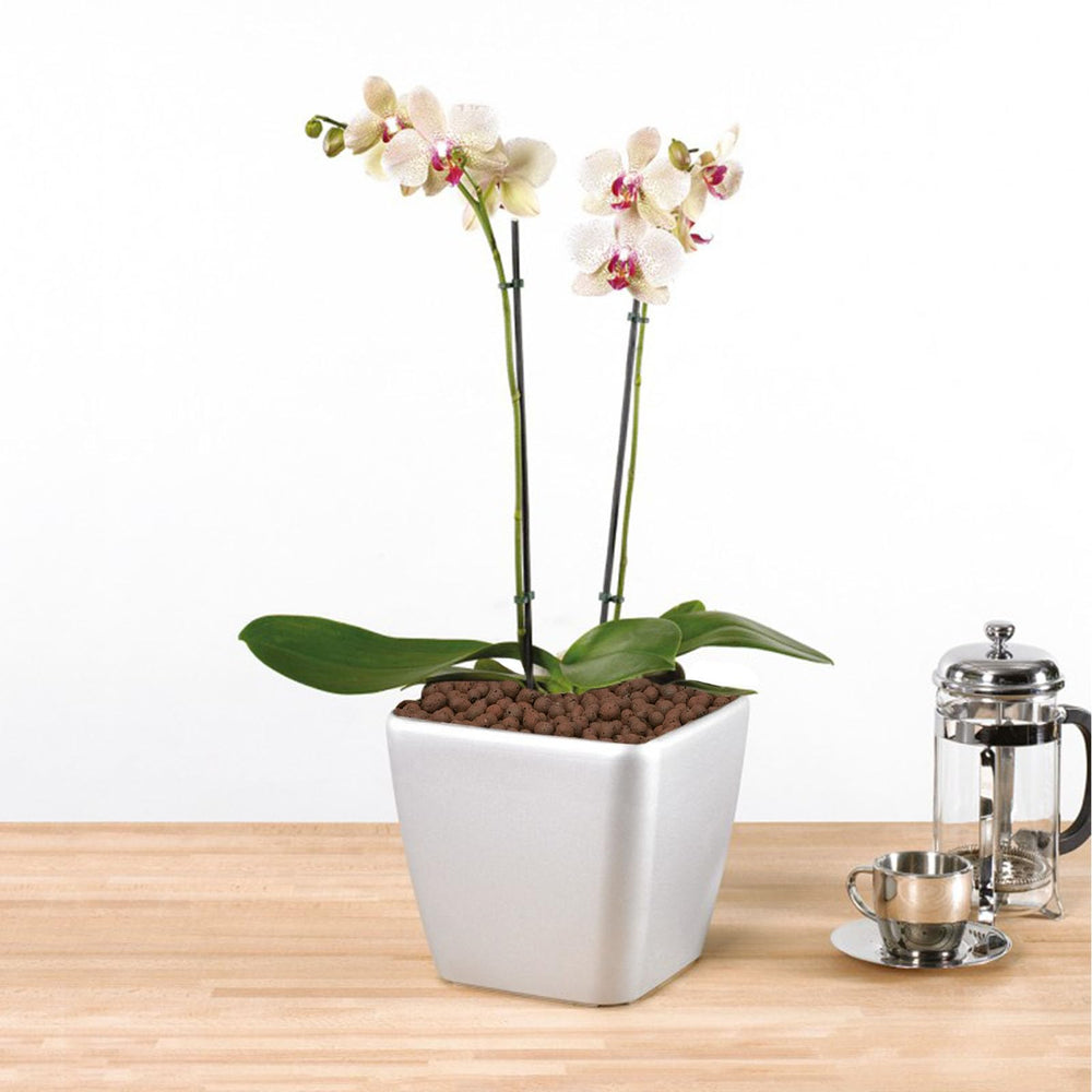 Pulovin used as a bottom drainage layer in a pot improving aeration
