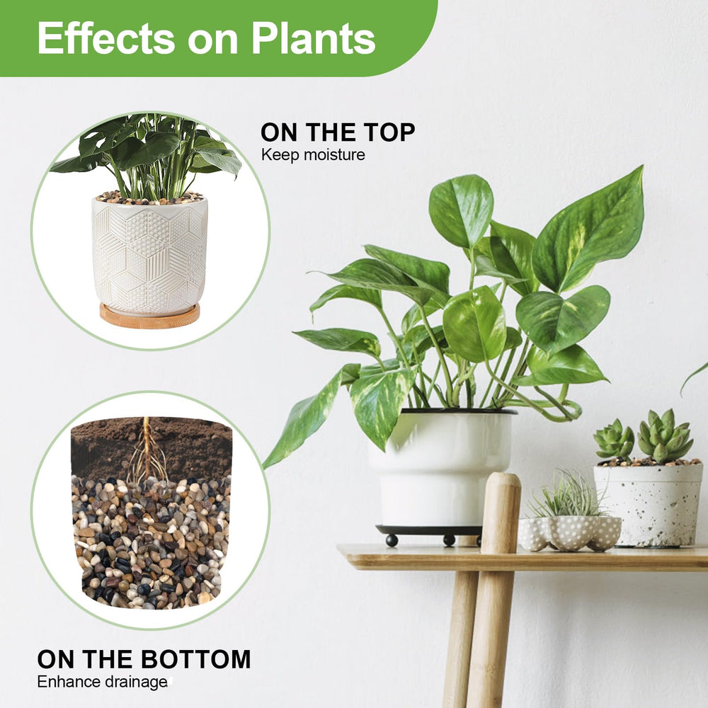 Pulovin pebbles as topdressing in a succulent pot giving a clean, finished look