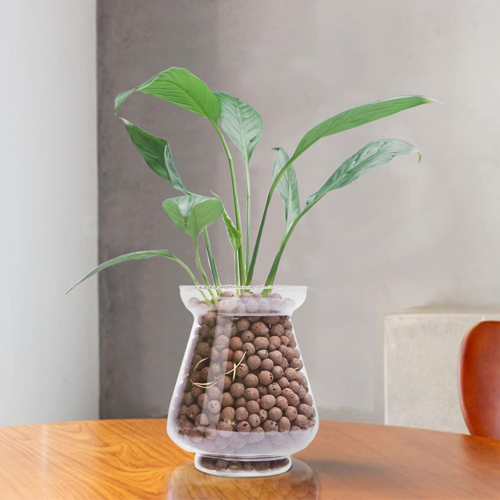 Pulovin applied around indoor succulents boosting tidy presentation
